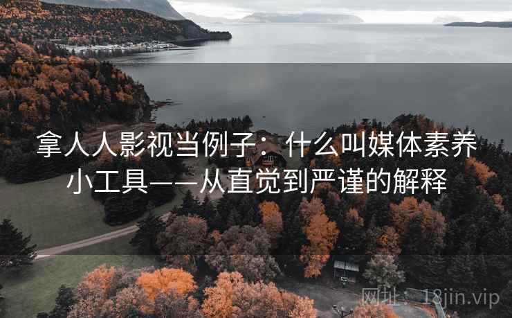 拿人人影视当例子：什么叫媒体素养小工具——从直觉到严谨的解释